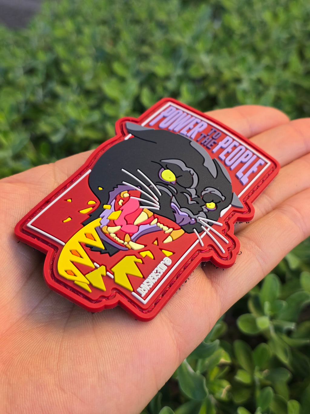 Black Panthers "No Kings" Rubber Hook and Loop Patch